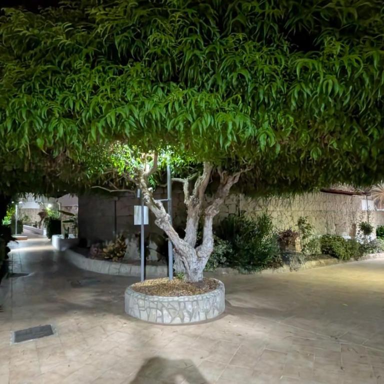 Coastal Sunset Tenerife-AC-Heated Pool-Terrace - Apartment mit 1 Schlafzimmer - 31
