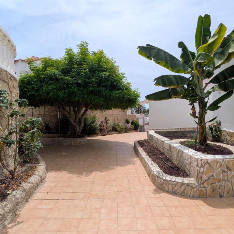 Coastal Sunset Tenerife-AC-Heated Pool-Terrace - Apartment mit 1 Schlafzimmer - 32