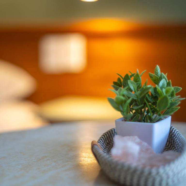 San Martin Hotel y Spa - Superior Double or Twin Room - 3