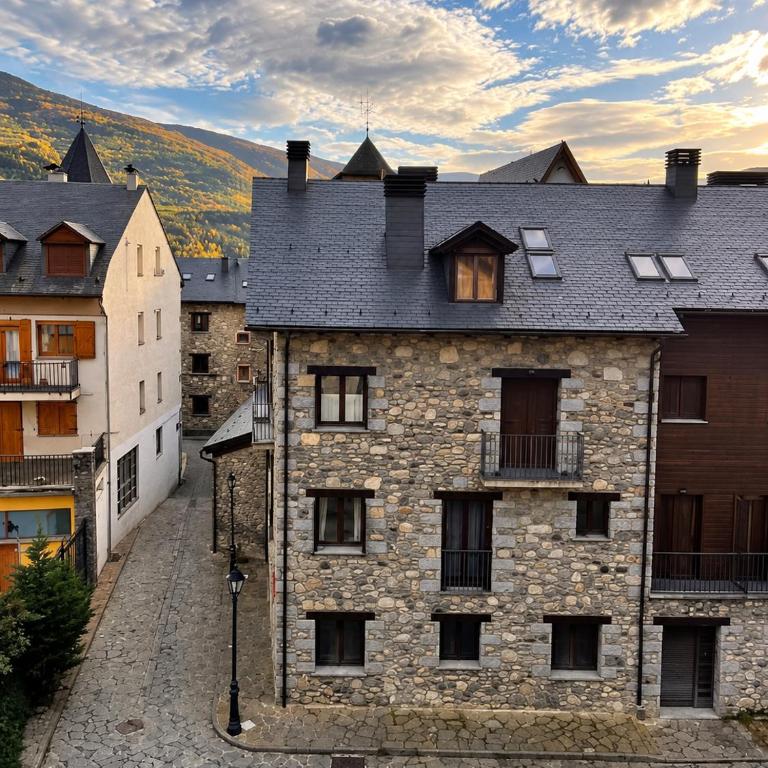 Cozy apartments in Benasque - Appartamento con 1 Camera da Letto - 4
