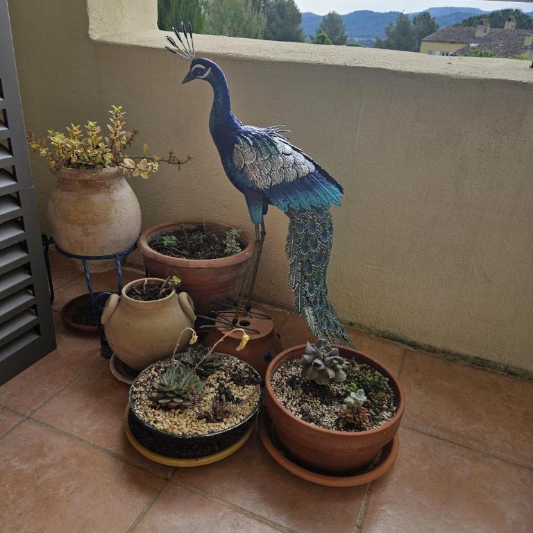 Village Pont Royal en Provence - maeva Home - Appartement climatisé 3 pièces 4 personnes - Prestige - super Home MAE-7124 - Appartamento - 37
