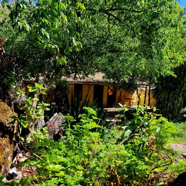 Las Chullpas - Double Room with Private Bathroom - 6