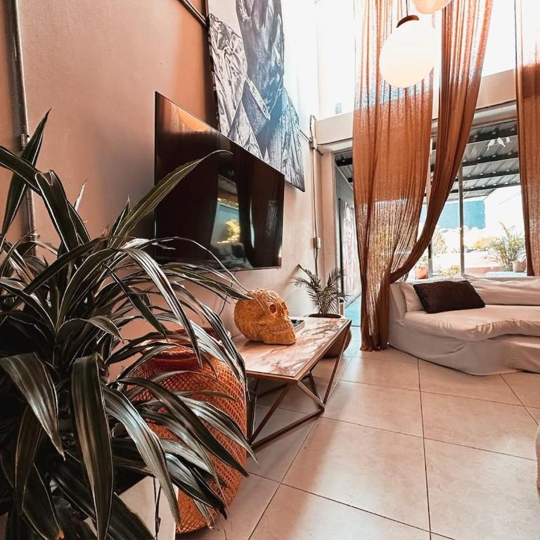 Luxury Provenza Terrace - Apartamento de 2 dormitorios - 9
