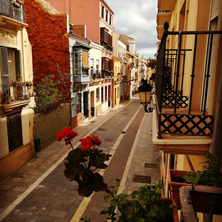Montaño17 - Apartamento - 2 niveles - 28