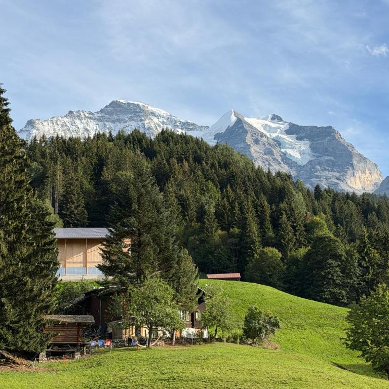 Staubbachbänkli - Apartment mit Gartenblick - 15