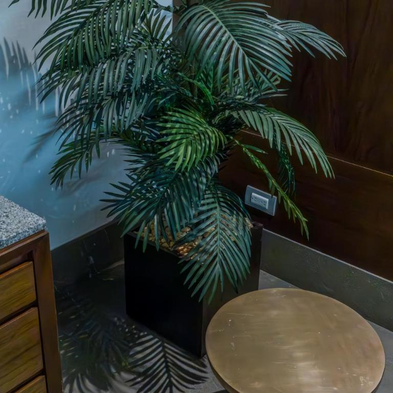 Departamentos EME - Appartement - 11