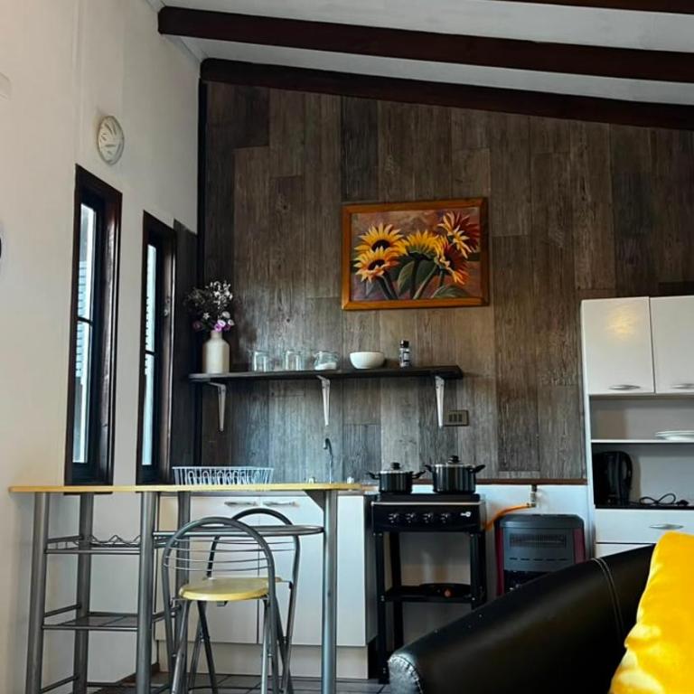 Loft en Pucon - Apartamento de 1 dormitorio - 13