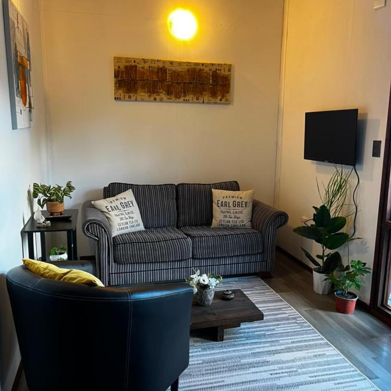 Loft en Pucon - Apartamento de 1 dormitorio - 15