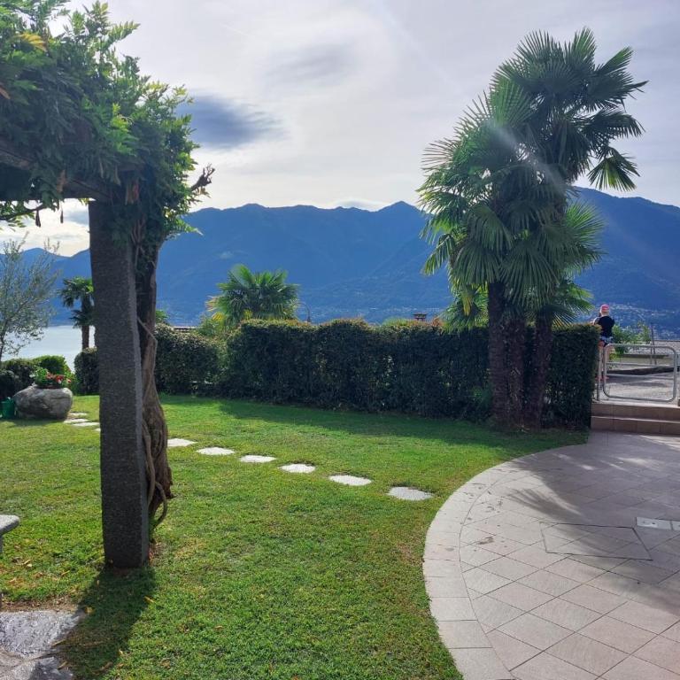 Condominio Andromeda Seeblick - Appartamento con 1 Camera da Letto - 49