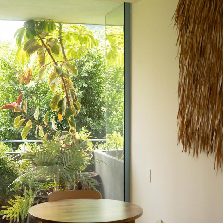 Xolo stays - Studio avec Balcon - 4