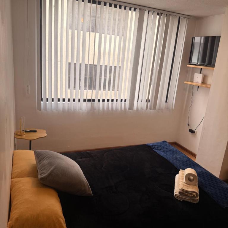 Habitacion Pradera lll - One-Bedroom Apartment - 7