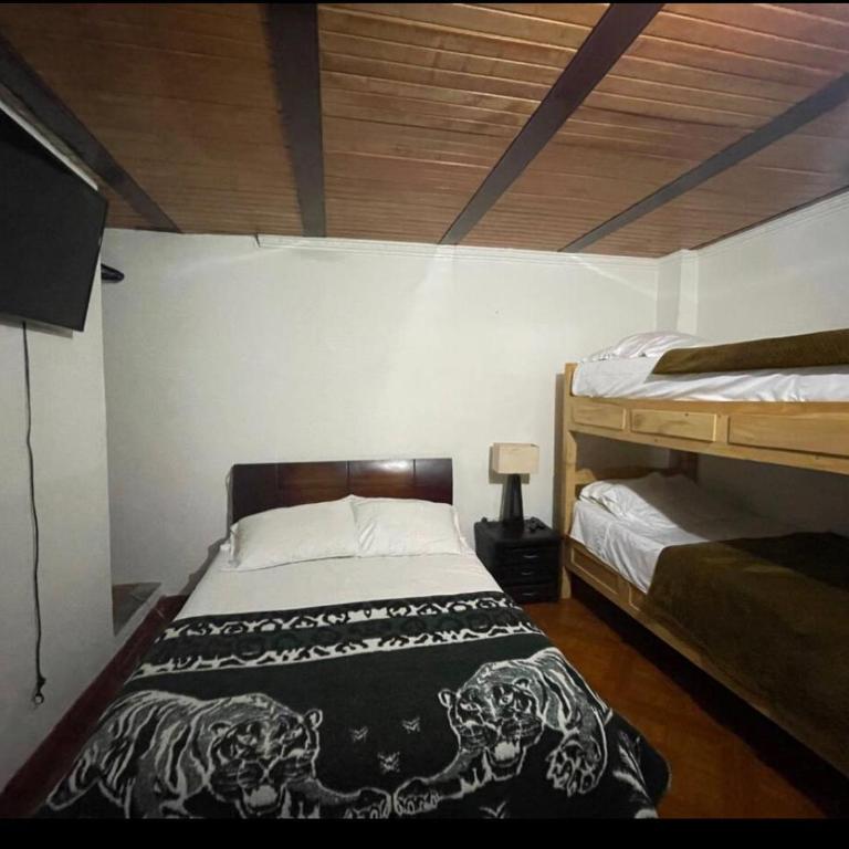 Casa R - Two-Bedroom Apartment - 11