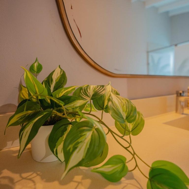 Apartment with balcony and AC - Apartamento de 1 dormitorio - 18