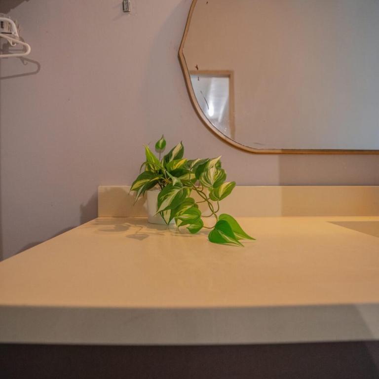 Apartment with balcony and AC - Apartamento de 1 dormitorio - 26