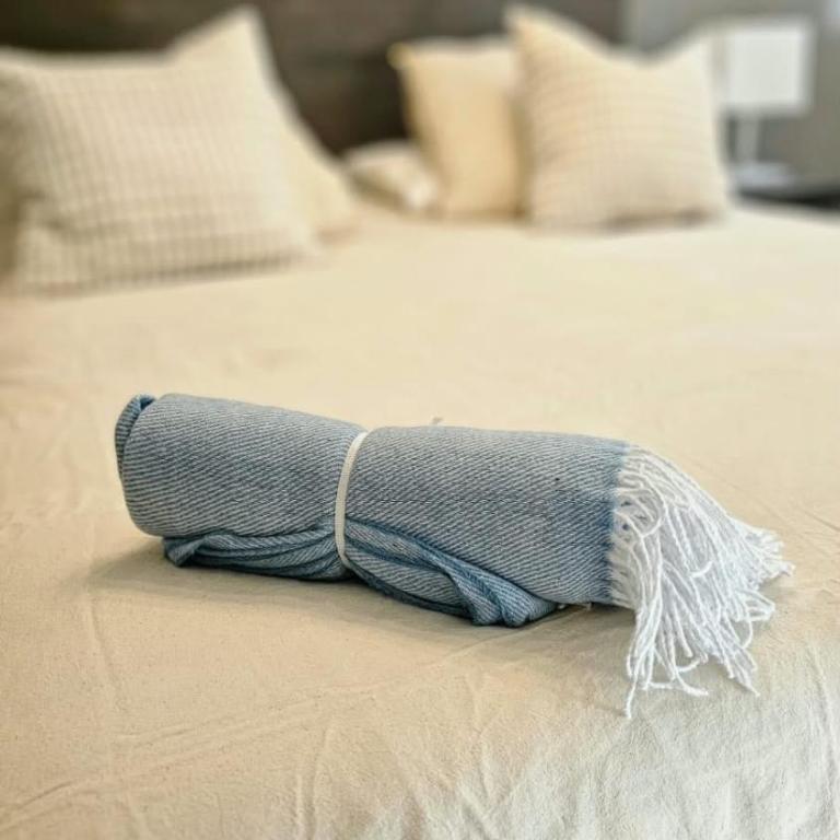 Cozy Urban Getaway In the Heart of Downtown Santiago - Apartamento de 1 dormitorio - 11