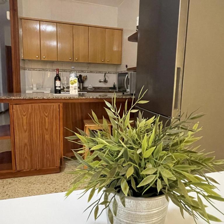 agaete 310 playa del ingles 150 mts de playa - Appartement 1 Chambre - 15