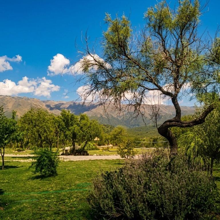Cabaña con pileta y vista a los Comechingones - Bungalow de 2 dormitorios - 14