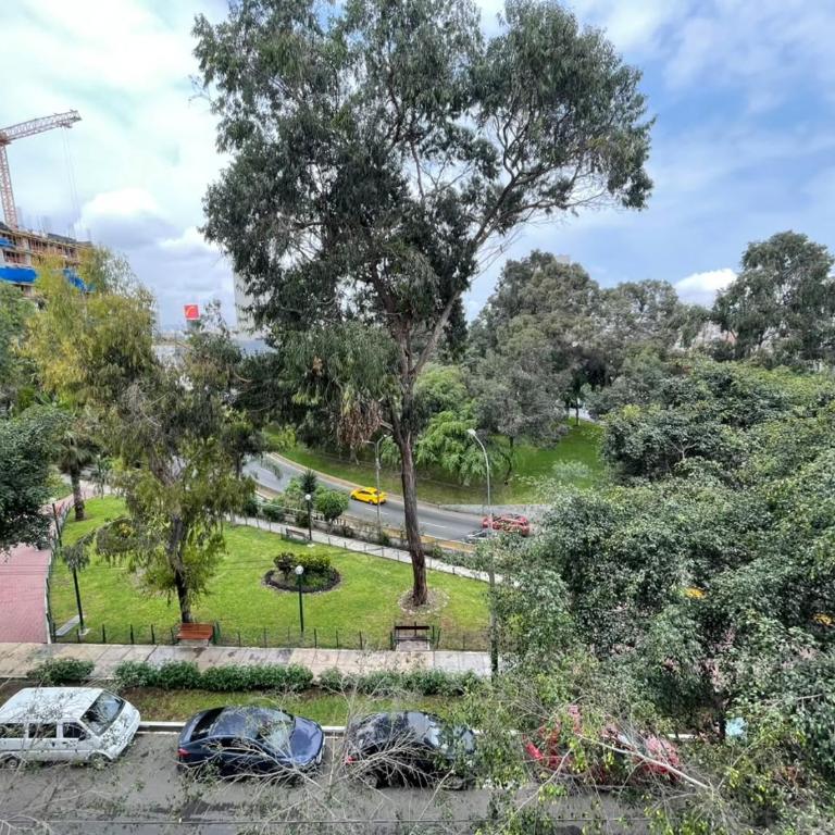 Felipe Sassone Apartments by Vibrant - Apartamento de 1 dormitorio con vistas al jardín - 16
