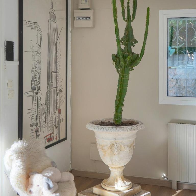 FRGK VERT COTEAU Luxury Private Villa 4 Bedrooms Pool Garden Parking Cannes - Villa avec Piscine Privée - 12