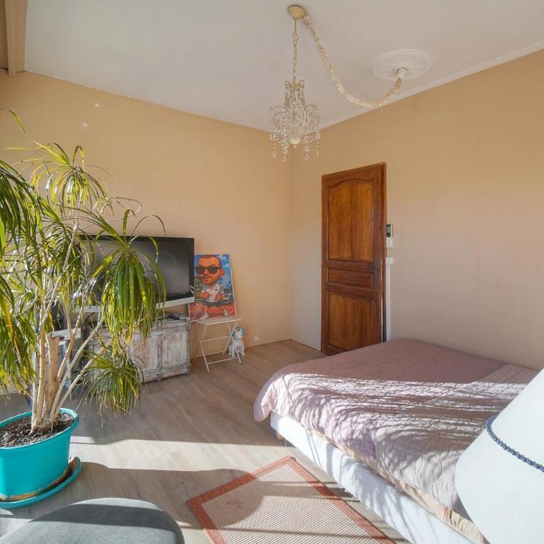 FRGK VERT COTEAU Luxury Private Villa 4 Bedrooms Pool Garden Parking Cannes - Villa avec Piscine Privée - 52