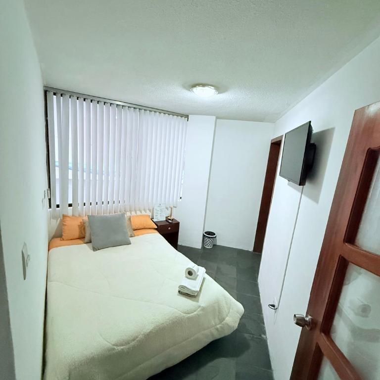 Habitación Pradera lV - One-Bedroom Apartment - 8