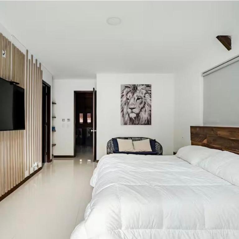 Casa de verano en santafe de antioquia - Five-Bedroom House - 24