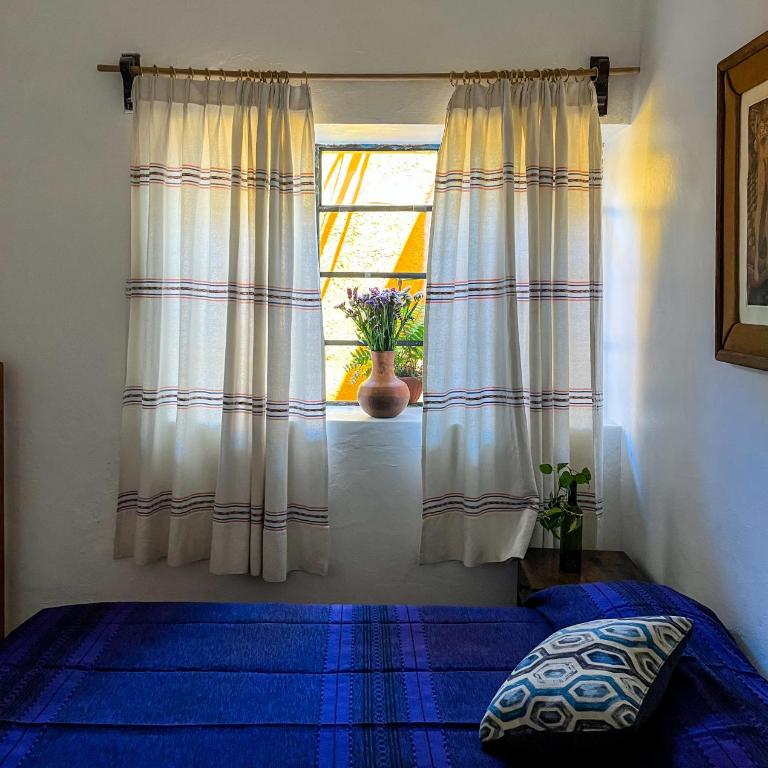 xochimilco Centro - one bedroom apartment - One-Bedroom Apartment - 1