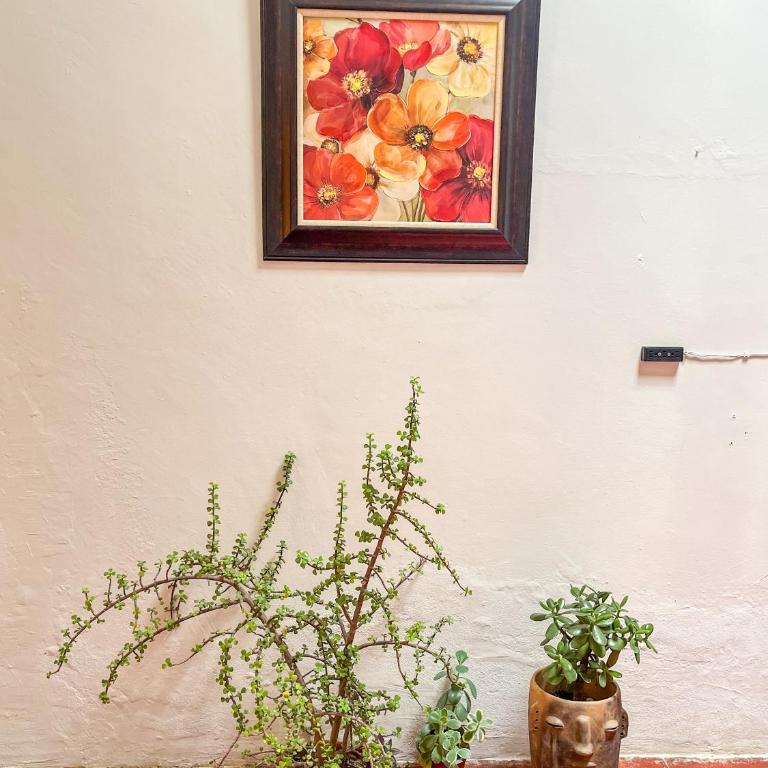 xochimilco Centro - one bedroom apartment - One-Bedroom Apartment - 5