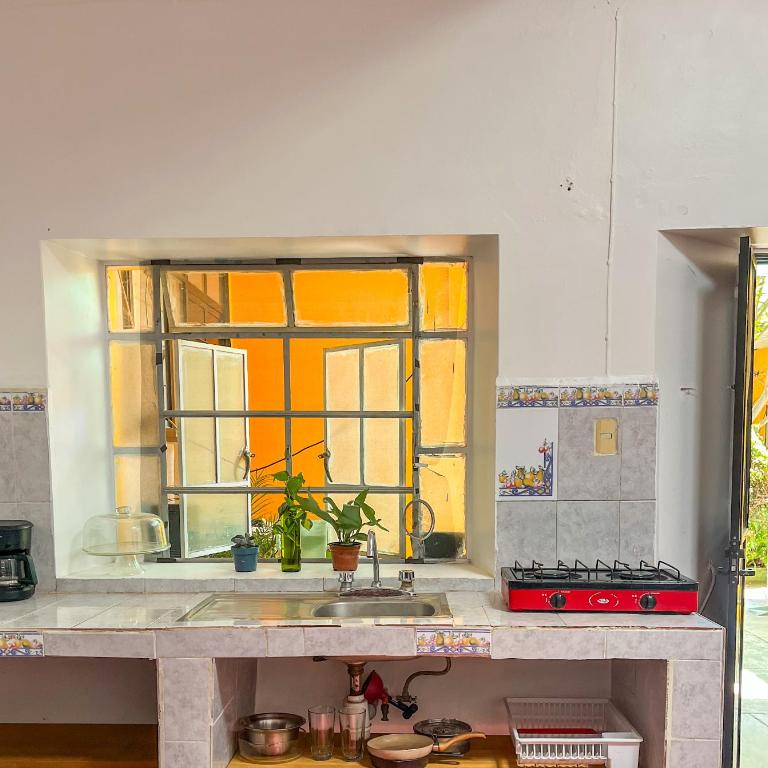 xochimilco Centro - one bedroom apartment - One-Bedroom Apartment - 6
