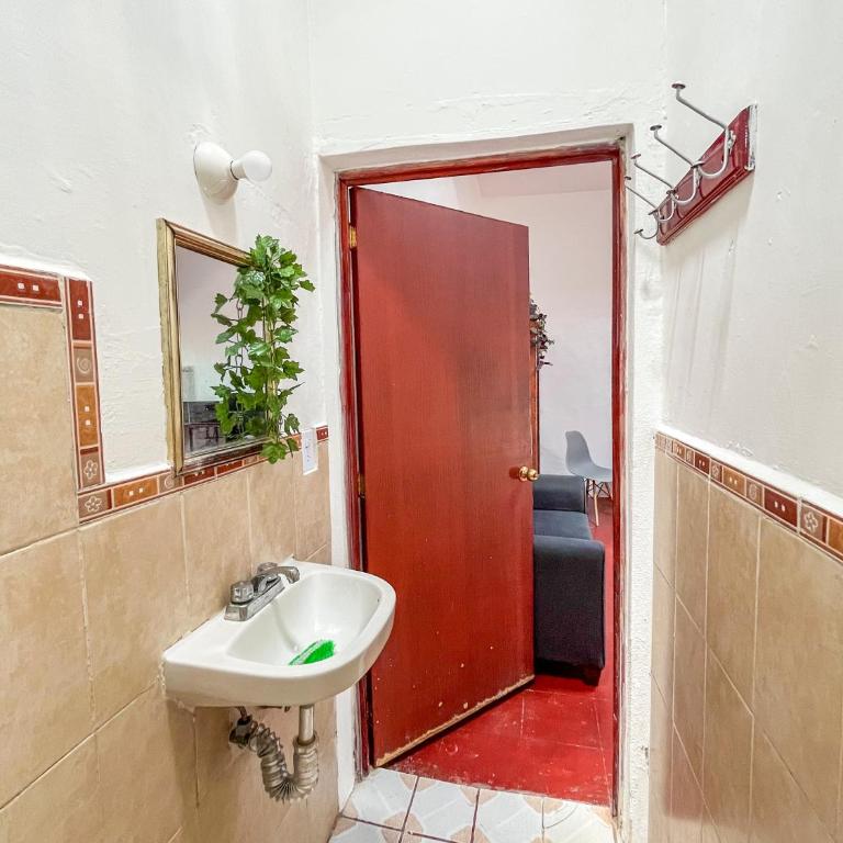 xochimilco Centro - one bedroom apartment - One-Bedroom Apartment - 10