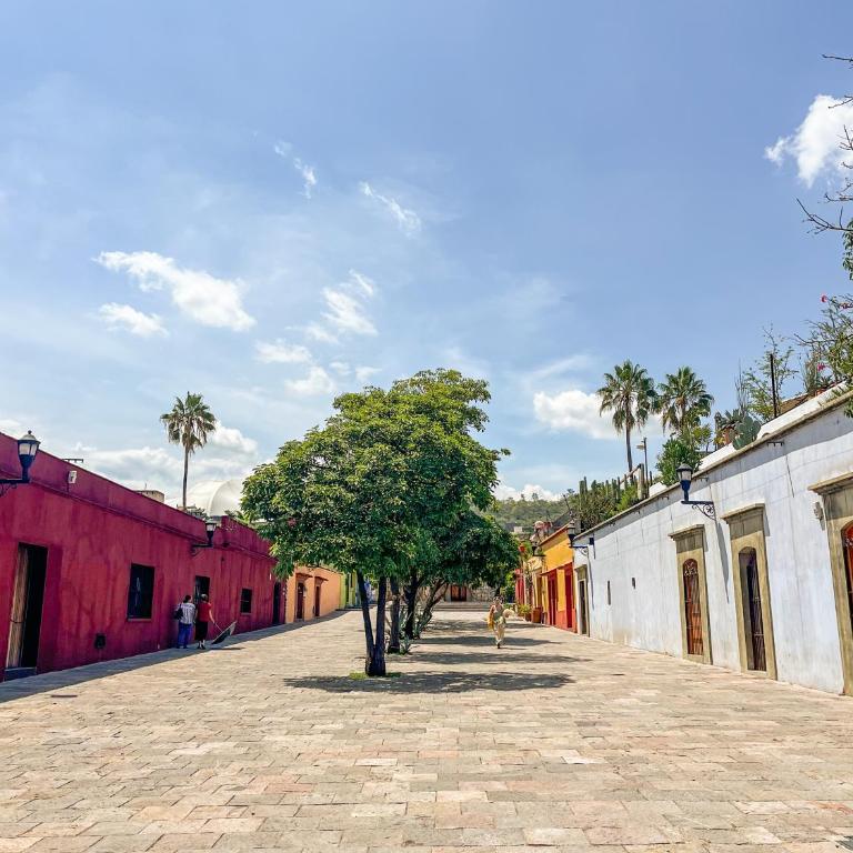 xochimilco Centro - one bedroom apartment - One-Bedroom Apartment - 7