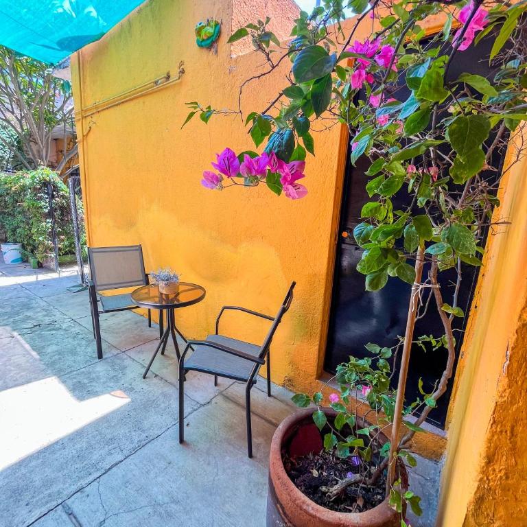 xochimilco Centro - one bedroom apartment - One-Bedroom Apartment - 12