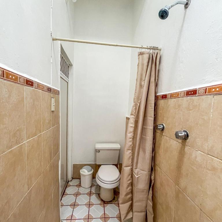 xochimilco Centro - one bedroom apartment - One-Bedroom Apartment - 9