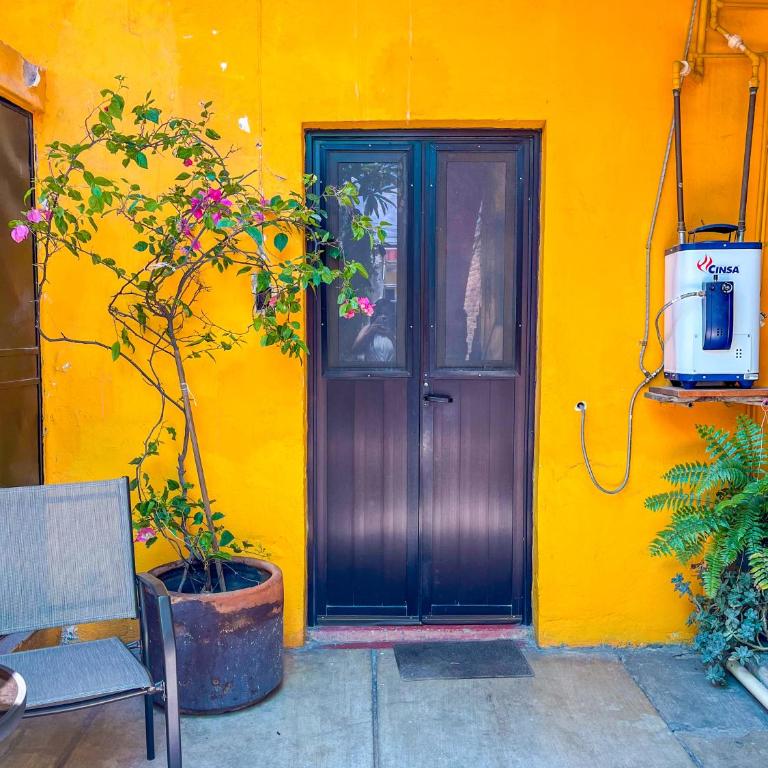 xochimilco Centro - one bedroom apartment - One-Bedroom Apartment - 11