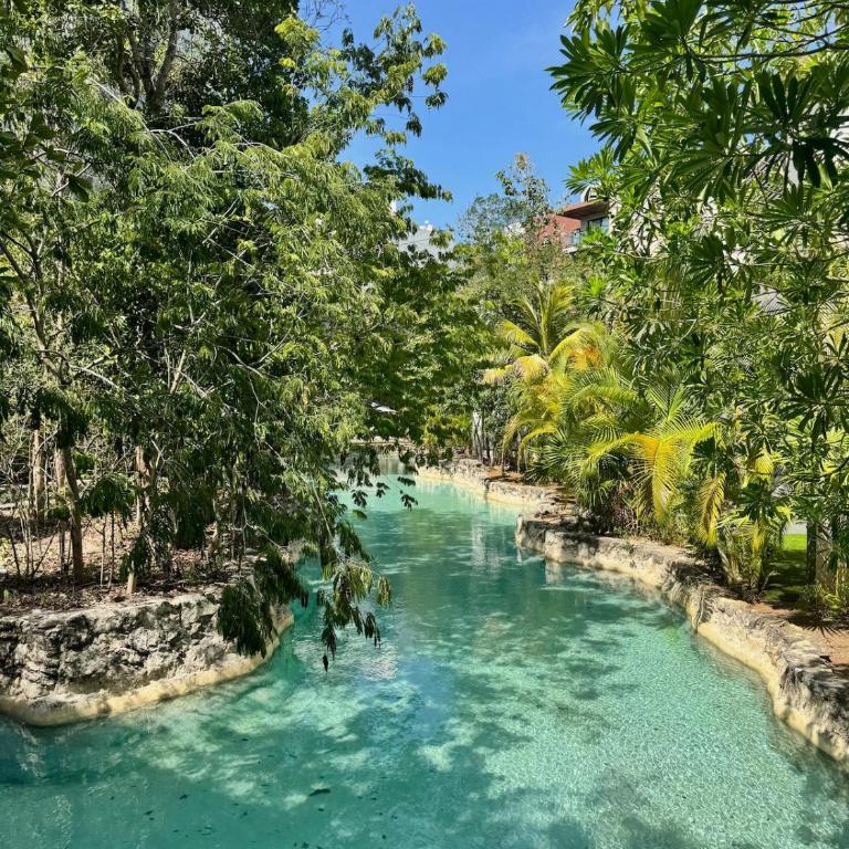 2 Bedroom in stunning Playa Del Carmen Cancun near - Apartamento de 2 dormitorios - 19
