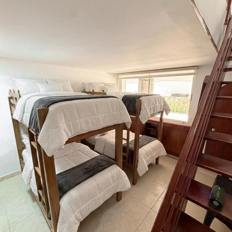 Apto en primera linea de playa - Two-Bedroom Apartment - 25