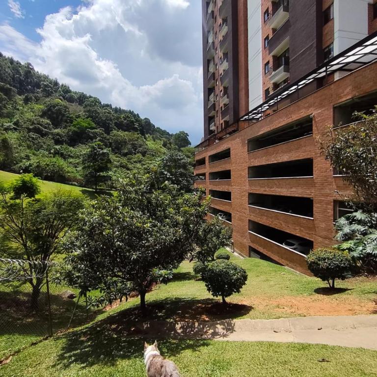 Medellín view loft vista City Pool gym - Apartamento de 3 dormitorios - 20