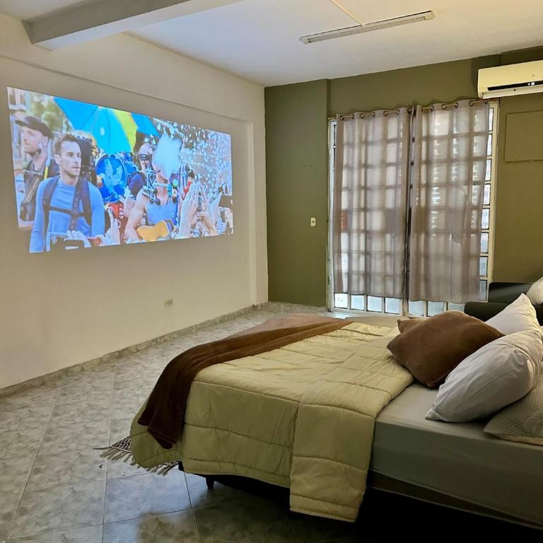 Warm and Quiet Loft with Home Theater in Asunción - One-Bedroom Apartment - 4