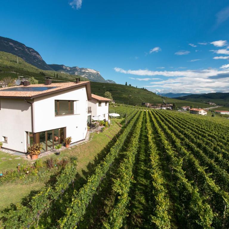 Weingut Morandell - Appartamento con Vista Lago - 1
