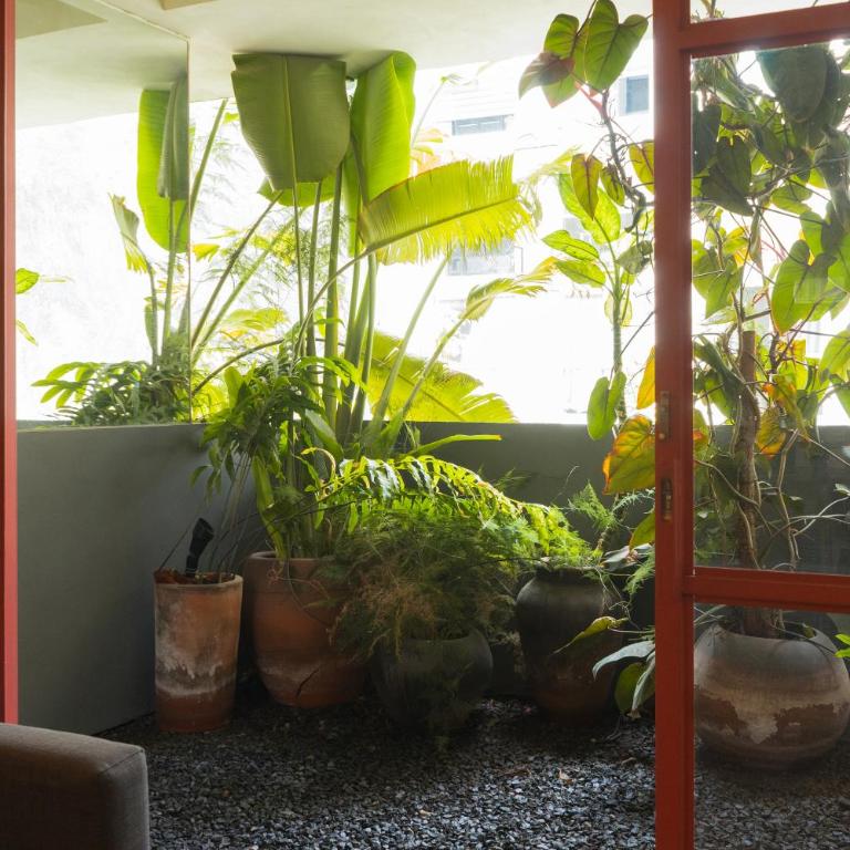 Xolo stays - Appartement 1 Chambre avec Balcon - 1