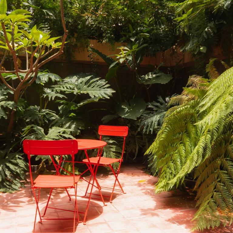 Xolo stays - Studio avec Terrasse - 4