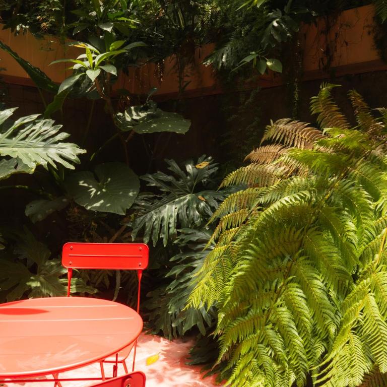 Xolo stays - Studio avec Terrasse - 2