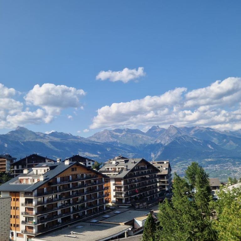 Nendaz chambre d'hôte - Apartment mit 1 Schlafzimmer - 4