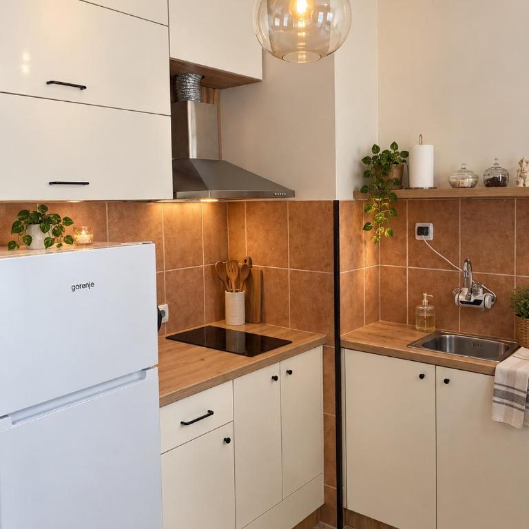 Apartment Elefant 021 - Apartman sa 1 Spavaćom Sobom - 28