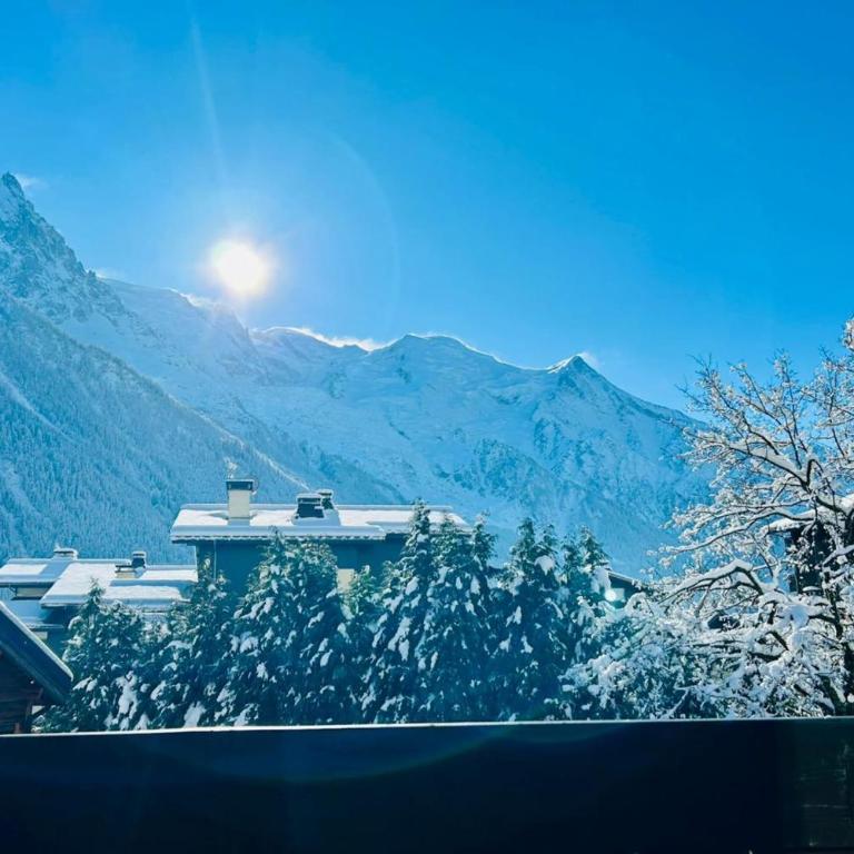 Bright with balcony views of Mont Blanc Parking - Apartment - 6