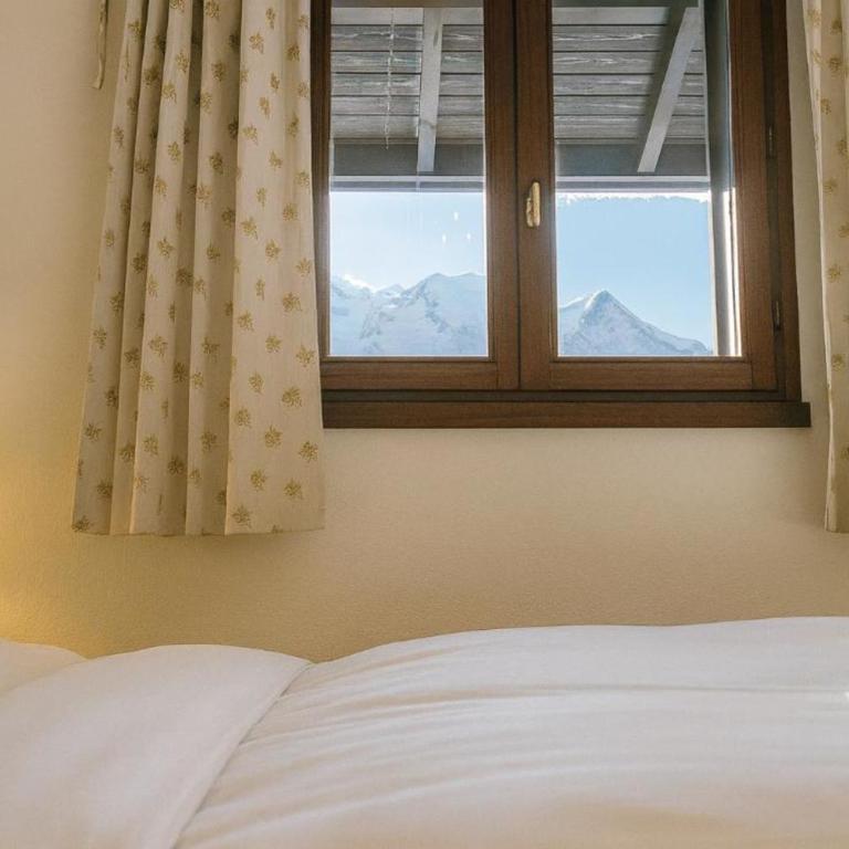 Bright with balcony views of Mont Blanc Parking - Apartment - 10