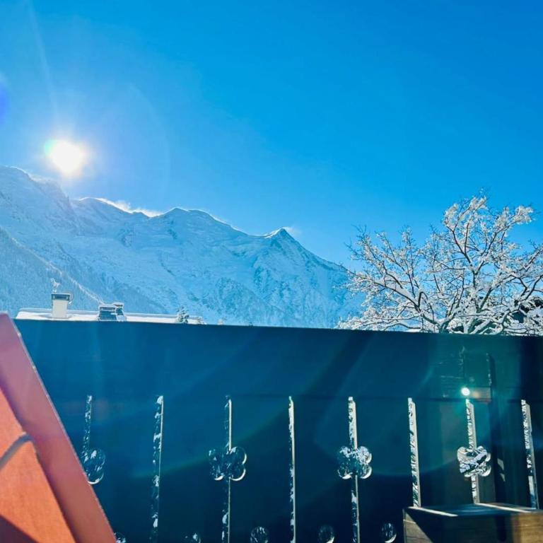 Bright with balcony views of Mont Blanc Parking - Apartment - 17