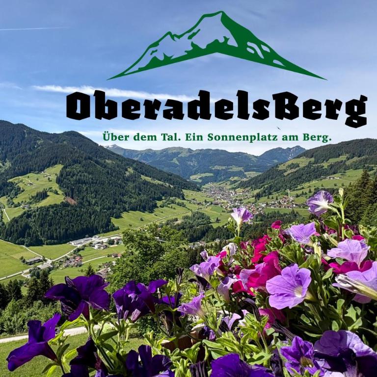 Wohnung Oberadelsberg - Apartment mit 2 Schlafzimmern - 22