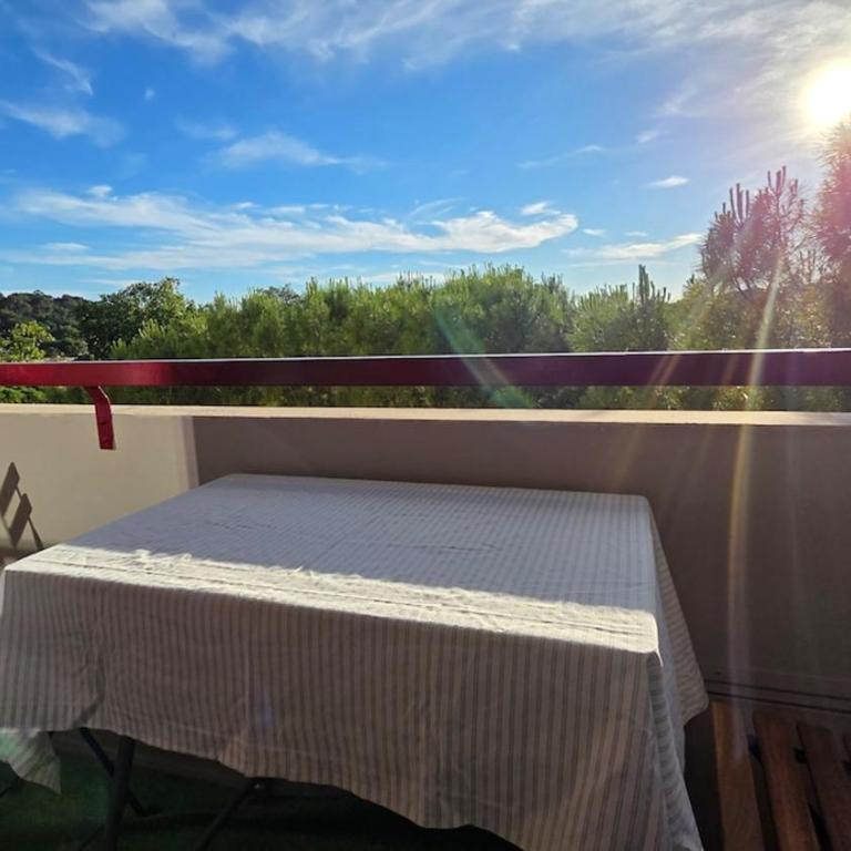 Le Nid des Pins - Terrasse, Parking privé, Calme - Apartamento - 7