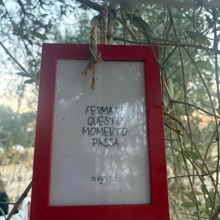 Casina Baglio - Apartamento de 1 dormitorio - 49